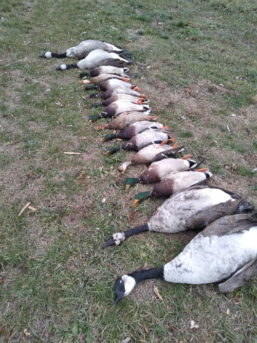 20201206_122852.jpg
