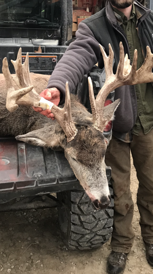 2020 Iowa deer season Hunt Talk