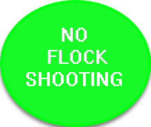 1607527977000.png 1607527977000.png