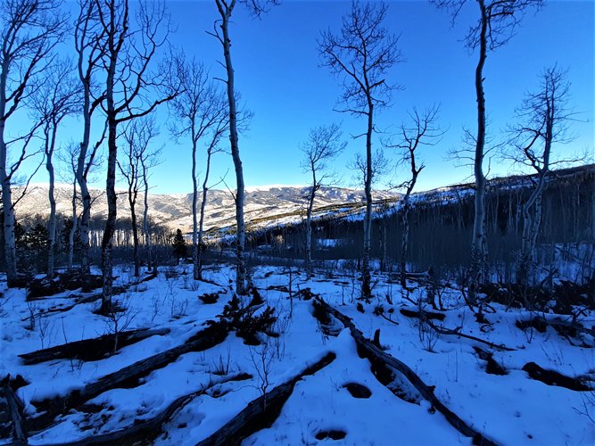 20201205_154453.jpg