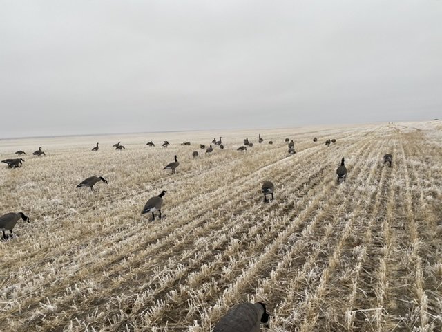 03572C63-F453-4970-9D10-69F2163B315D.jpeg