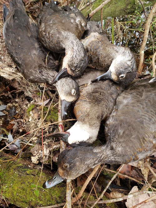 20201212_135916.jpg 20201212_135916.jpg