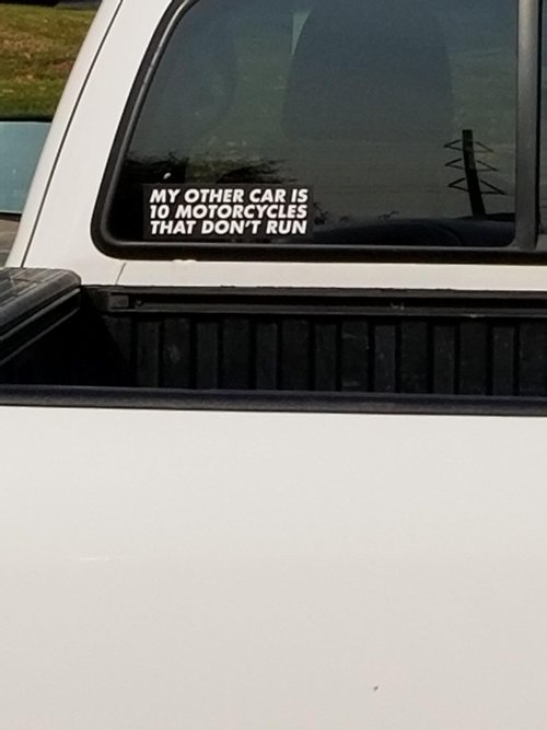 Stupid Window sticker.jpg