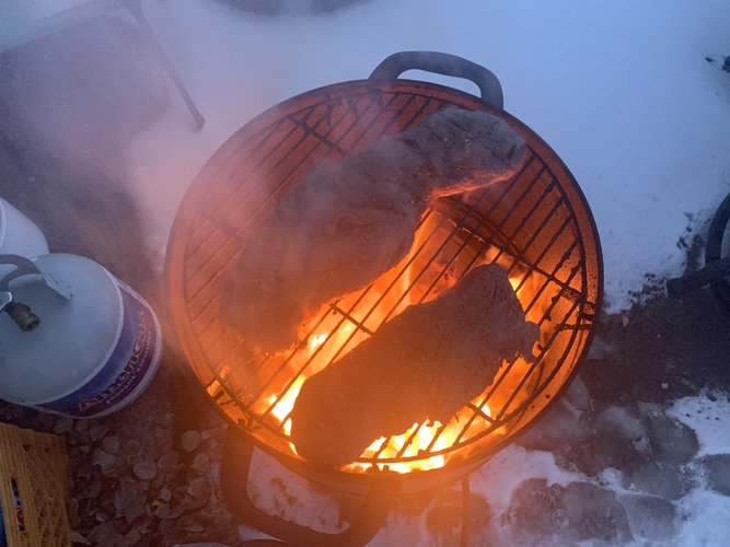 367FA8B9-A35C-4233-9911-239DD5F8CF14.jpeg 367FA8B9-A35C-4233-9911-239DD5F8CF14.jpeg