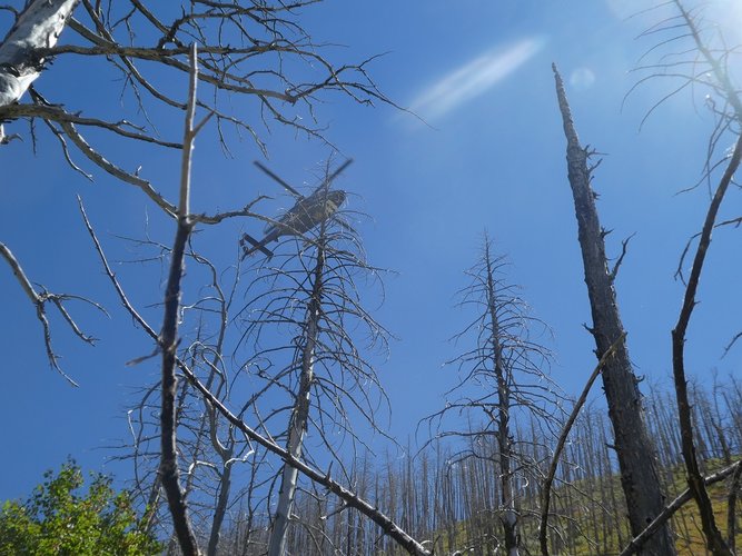 Two Bear Air rescue overhead.JPG