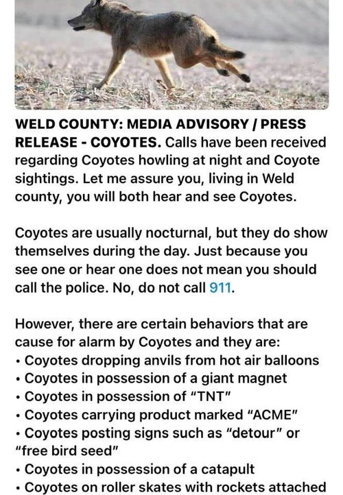 coyotewarning.jpg