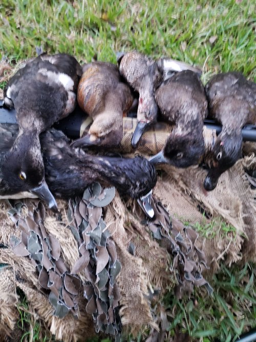 20201218_173903.jpg