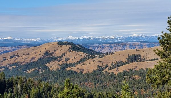 idahosrcsave.jpg idahosrcsave.jpg