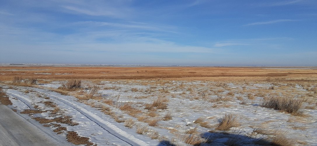20201124_134614.jpg 20201124_134614.jpg