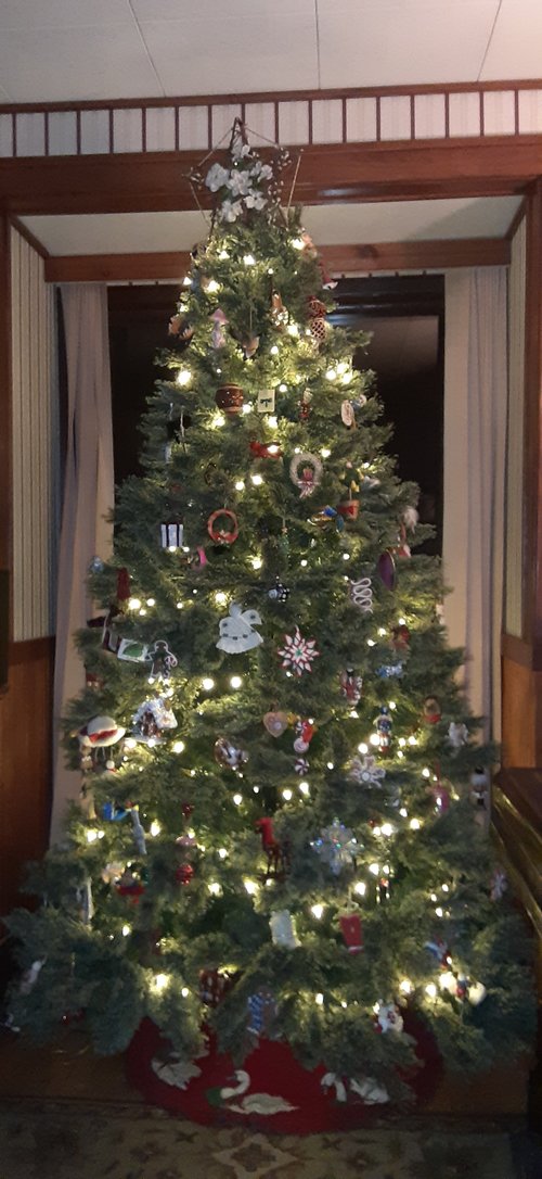 20201221_183243.jpg