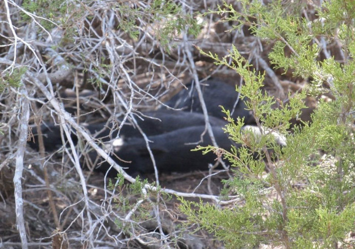 D87FC582-76D1-484F-A028-DB4ECDB86574.jpeg D87FC582-76D1-484F-A028-DB4ECDB86574.jpeg