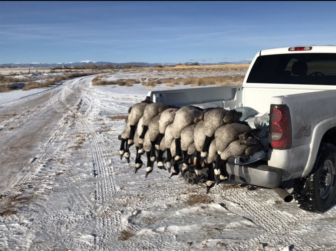 1400613D-7B02-41E5-8475-41AC92ABB499.jpeg 1400613D-7B02-41E5-8475-41AC92ABB499.jpeg