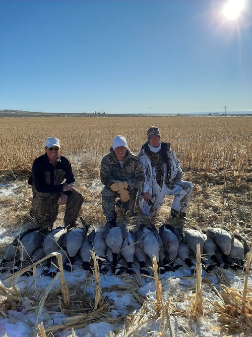 29AFE0EB-1E12-42E9-934A-649973B951AA.jpeg 29AFE0EB-1E12-42E9-934A-649973B951AA.jpeg