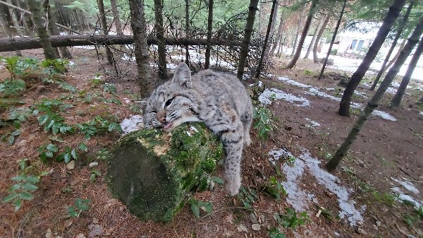 20201225_092404_copy_600x337.jpg 20201225_092404_copy_600x337.jpg