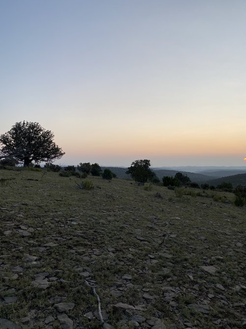 D7682EBF-761A-4C5E-A949-BDF2C58D4CE6.jpeg D7682EBF-761A-4C5E-A949-BDF2C58D4CE6.jpeg