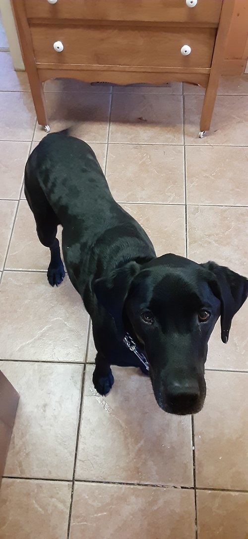 20201209_143210.jpg 20201209_143210.jpg