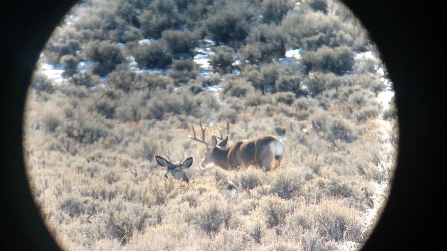 IMG_20201224_105601388_HDR.jpg