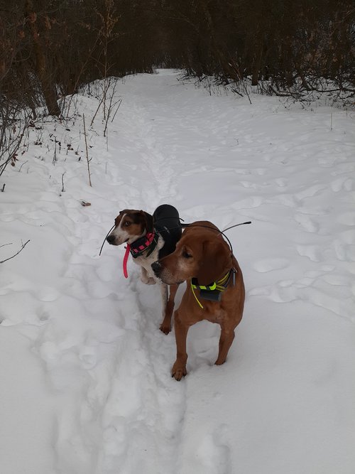20201230_105816.jpg