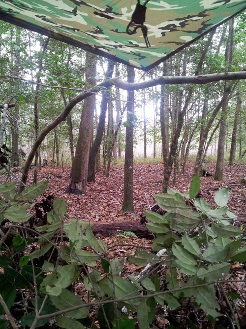 Oakmulgee Deer Blind 01r.jpg