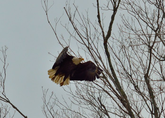 DSC_5576_692re.JPG