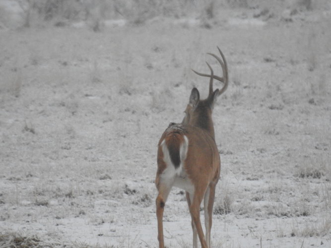 DSCN3653.JPG DSCN3653.JPG