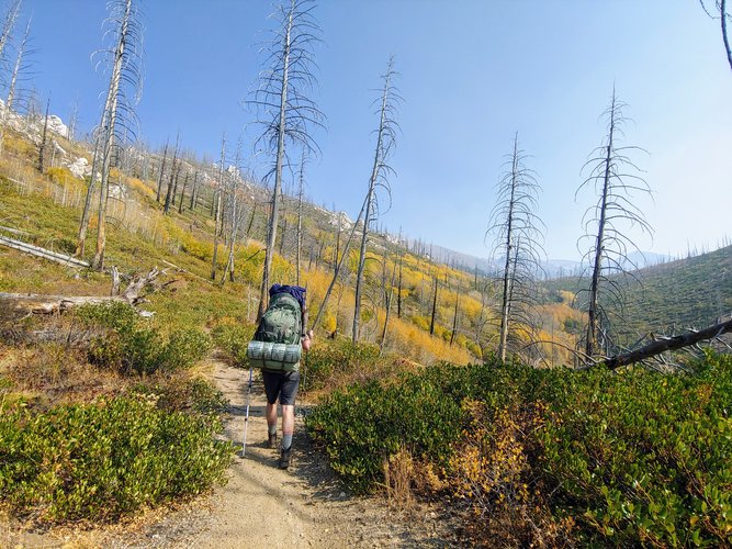 20201009_142259 - Copy.jpg 20201009_142259 - Copy.jpg