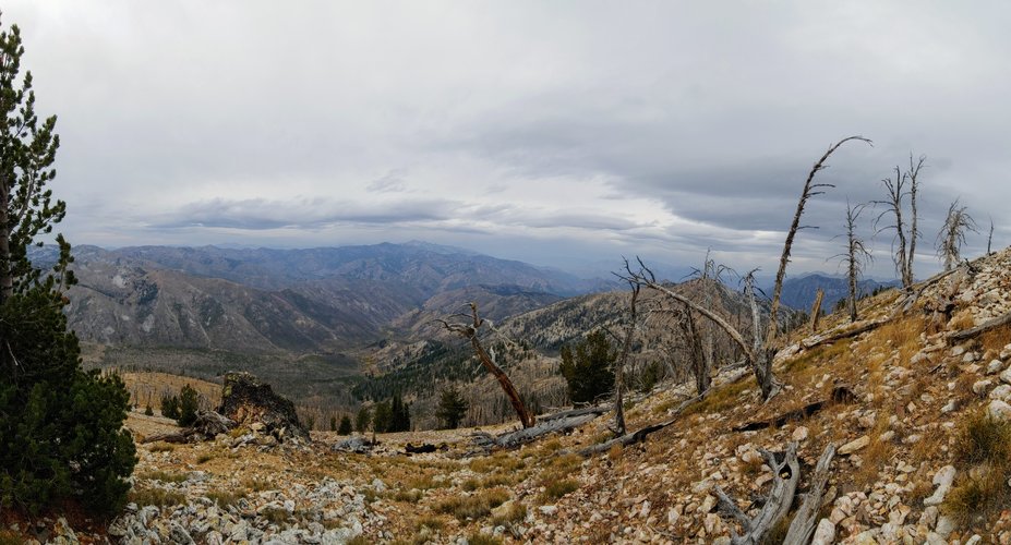 20201010_135121 - Copy.jpg 20201010_135121 - Copy.jpg