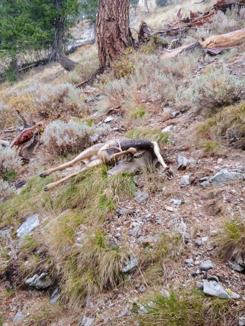 20201010_155341 - Copy.jpg 20201010_155341 - Copy.jpg