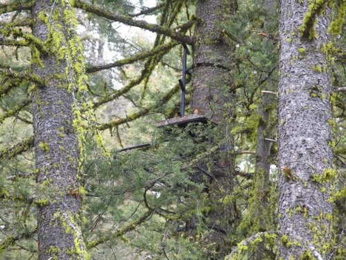 IMG_3932.jpg IMG_3932.jpg