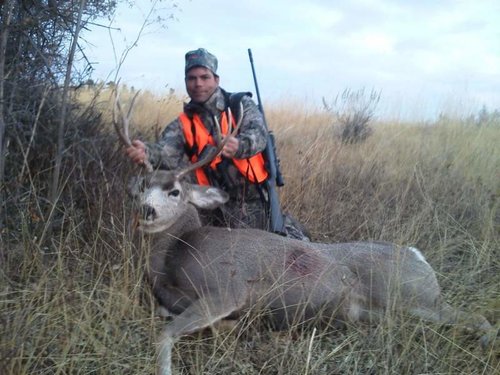 Scott's MT Mulie.jpg