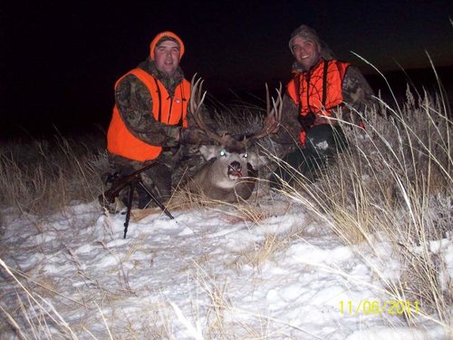 2011 Mule Deer.jpg