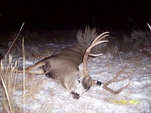 2011 Mule Deer-2.jpg