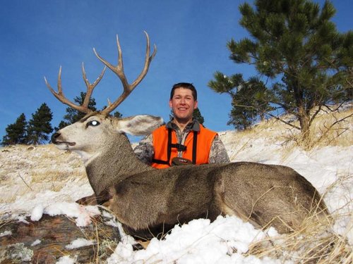 IMG_1329.jpg IMG_1329.jpg