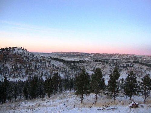 IMG_1337.jpg IMG_1337.jpg