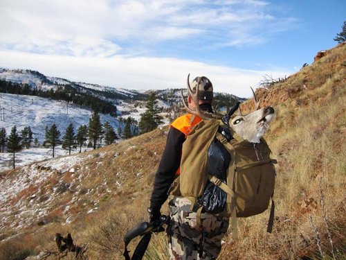 IMG_1358.jpg IMG_1358.jpg