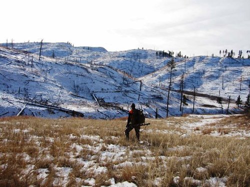 IMG_1363.jpg IMG_1363.jpg