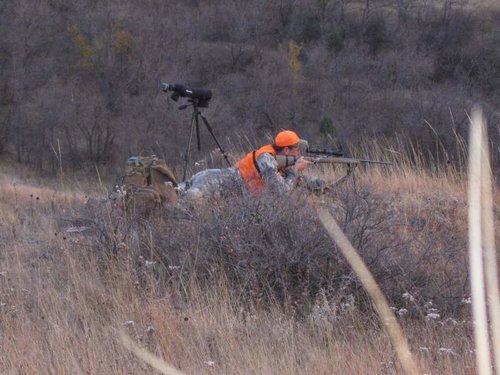 IMG_0474.jpg IMG_0474.jpg