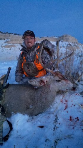 Aaron 2011 Nebraska Mule deer (side).jpg