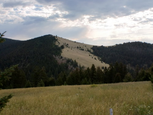 153.JPG