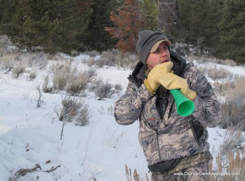 IMG_1503.jpg IMG_1503.jpg