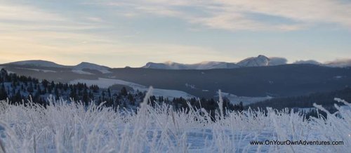 IMG_1524.jpg IMG_1524.jpg