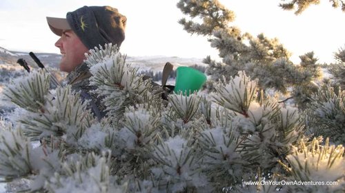 IMG_1528.jpg IMG_1528.jpg