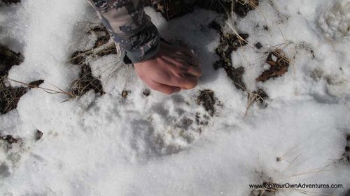 IMG_1552.jpg IMG_1552.jpg