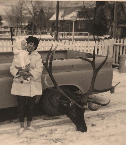 elk 005.jpg elk 005.jpg