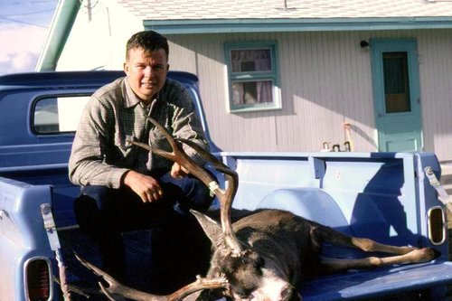 deer 002.jpg deer 002.jpg
