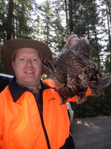 Grouse 1.jpg