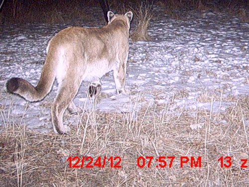 cam pics 2 008a.jpg