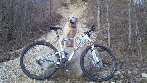 zepbike.jpg