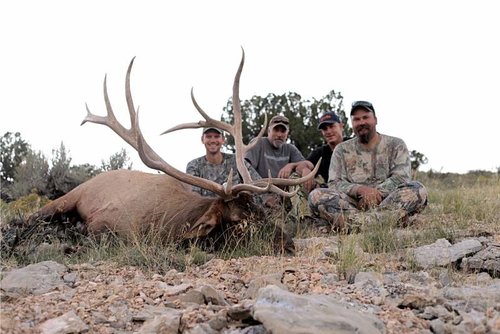 matts bull 2011 - Copy.jpg matts bull 2011 - Copy.jpg