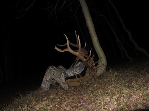 colorado elk hunt 037.jpg